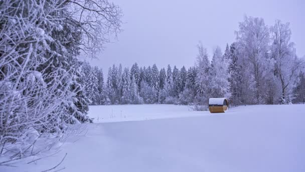 Fjärrbastu Snötäckt Äng Omgiven Tallskog Grumlig — Stockvideo