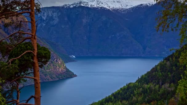 Catamarán Turístico Vela Aurland Fiordo Condado Vestland Noruega Valle Flam — Vídeos de Stock