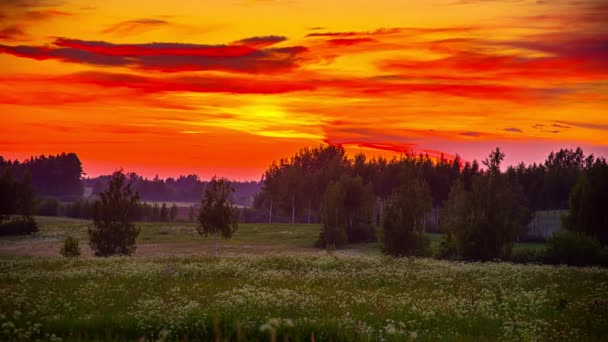 Lapso Tempo Céu Colorido Vermelho Durante Pôr Sol Paisagem Floresta — Vídeo de Stock