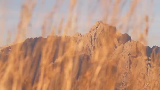 Vink Græs Forgrunden Gigantiske Klippefyldte Sesto Dolomitterne Bjerge Fokus Baggrunden – Stock-video