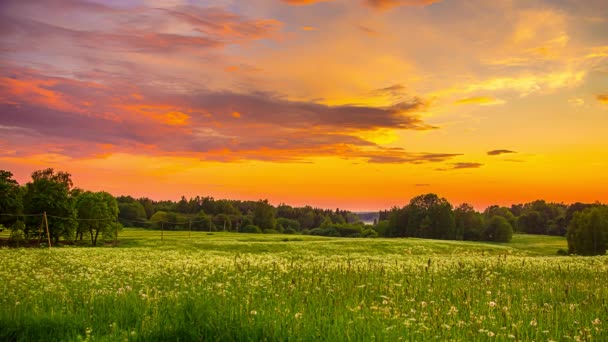 Kırsal Alan Altın Gökyüzü Günbatımı Bahar Doğası Zaman Aşımı — Stok video