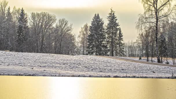 Fryst Skogsområde Täckt Snö Gyllene Timme Solljus Reflektion Över Sjön — Stockvideo