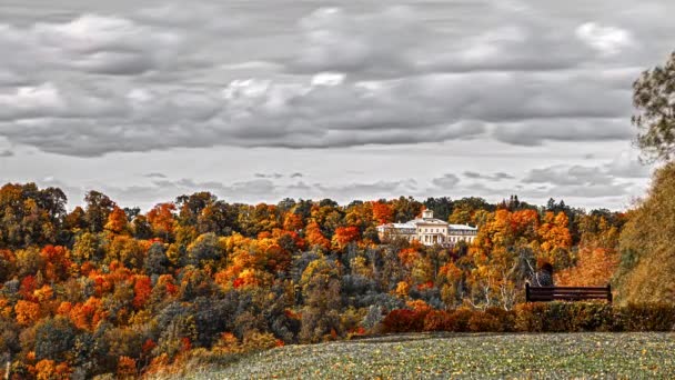 Замок Весеннем Лесу Сигулде Латвия Черно Белое Небо Облаками Скамейка — стоковое видео