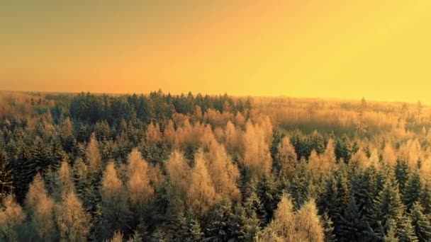 Atemberaubender Goldener Sonnenaufgang Über Der Schneebedeckten Ostseelandschaft Luftaufnahme — Stockvideo