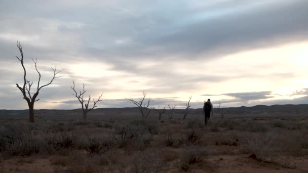 Snímek Zezadu Fotograf Kráčející Opuštěné Oblasti Siluetou Mrtvého Stromu Austrálie — Stock video