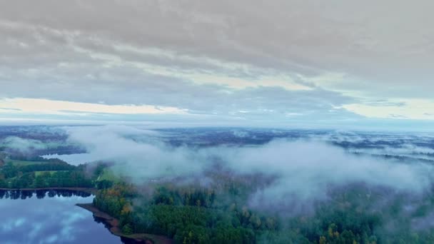 Lucht Omkeren Vlucht Weelderige Herfst Bos Meer Landschap Bewolkt Overdag — Stockvideo