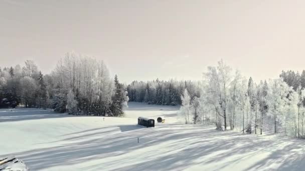 Luchtfoto Winter Dennenbos Met Cabine Landschap Prachtige Panoramische Besneeuwde Drone — Stockvideo