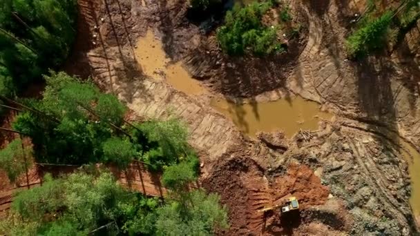 Trattore Che Lavora Terreno Appena Deforestato Eroso Nella Piantagione Eucalipto — Video Stock