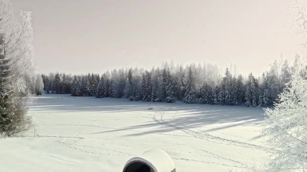 Vida Alternativa Pequeñas Casas Medio Los Bosques Invierno Cubiertas Nieve — Vídeos de Stock