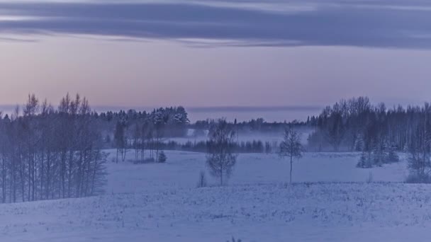 Vzdálená Zasněžená Krajina Zimě Den Nocí — Stock video