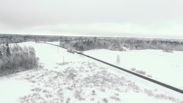 Автомобілі Перетинають Дорогу Через Дике Замерзле Поле Ліс Подорож Гори — стокове відео