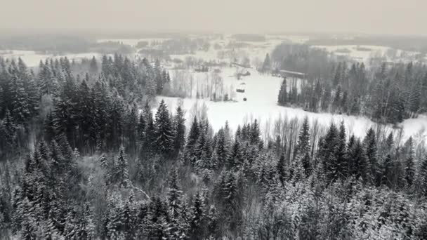 Abgelegenes Ländliches Dorf Schneebedeckter Landschaft Drohnen Drängen Herein — Stockvideo