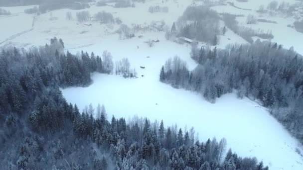 Bosque Nublado Cubierto Nieve Durante Temporada Invierno Inclinación Aérea Hacia — Vídeos de Stock