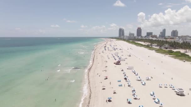 Bajo Vuelo Aéreo Personas Disfrutando Soleado Arenoso South Beach Miami — Vídeos de Stock
