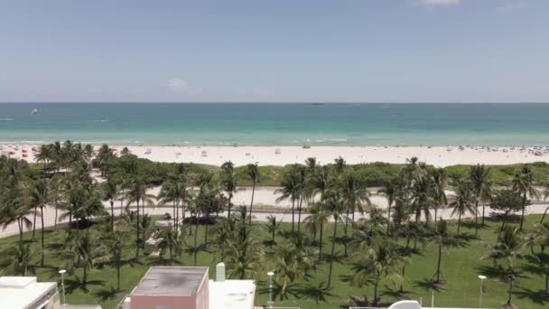 Långsam South Beach Antenn Med Byggnader Palmer Sanddyner Och Atlanten — Stockvideo