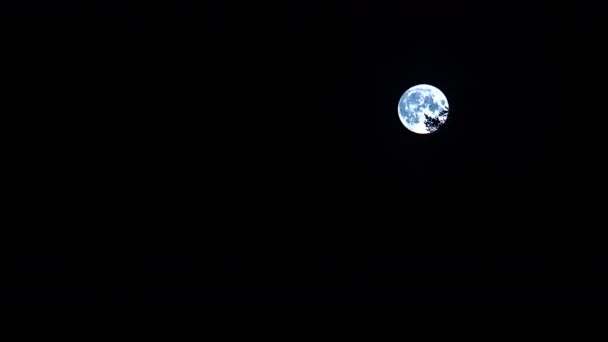 Pełnia Księżyca Timelapse Podczas Ciemnej Czarnej Nocy Tło Astonomii Przestrzenią — Wideo stockowe