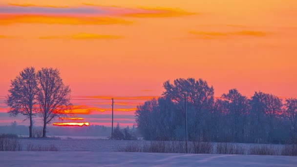 Fiery Sunburst Clouds Trees Daybreak Timelapse — Stock Video