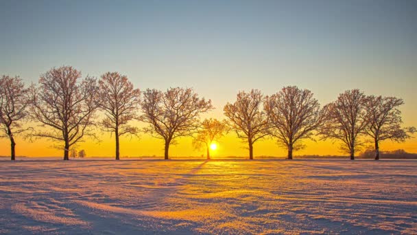 Coucher Soleil Majestueux Timelapse Dans Paysage Hivernal Des Éruptions Soleil — Video