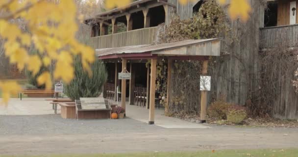 Rustic Old Wooden Wedding Barn Ceremony Venue Fall Yellow Leaves — Stock Video