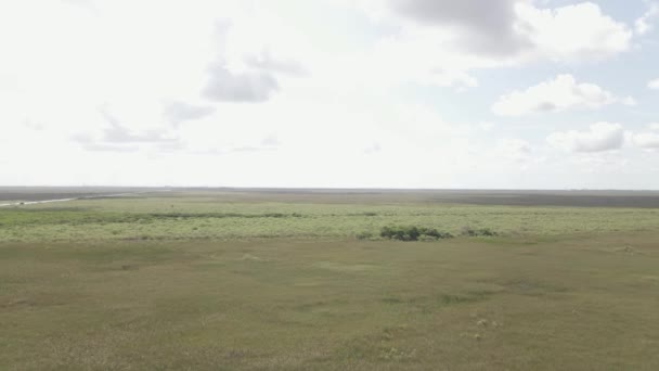 Amplia Bandeja Barrido Derecha Través Everglades Panorámicas Pantano Pastizales — Vídeos de Stock