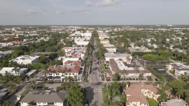 플로리다 나폴리 정원에 늘어선 야자나무를 하늘로 날아간다 — 비디오