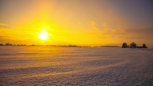 Parlak Güneş Işınları Karla Kaplı Kır Çayırlarına Yansıyor Günbatımı Sarı — Stok video