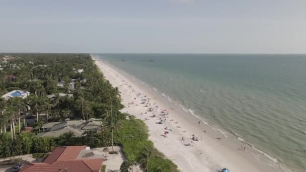 Sahildeki Evlerin Üzerinde Havadan Kumsalda Palmiye Ağaçları Mutlu Insanlar — Stok video