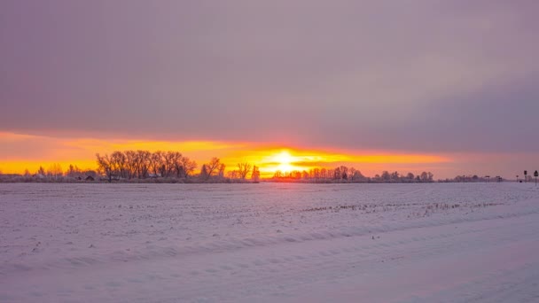 Pittoresco Paesaggio Invernale Con Alberi Senza Foglie Nuvole Volanti Tramonto — Video Stock