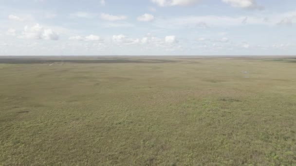Vuelo Aéreo Bajo Sobre Una Extensión Interminable Pastizales Pantanosos Hoja — Vídeos de Stock