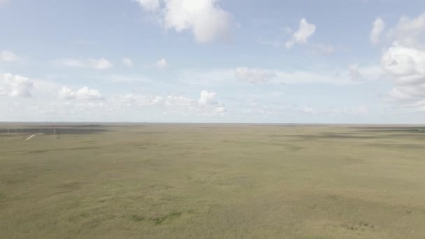 Sartén Panorámica Sabana Everglades Baja Carretera Corte Través — Vídeos de Stock