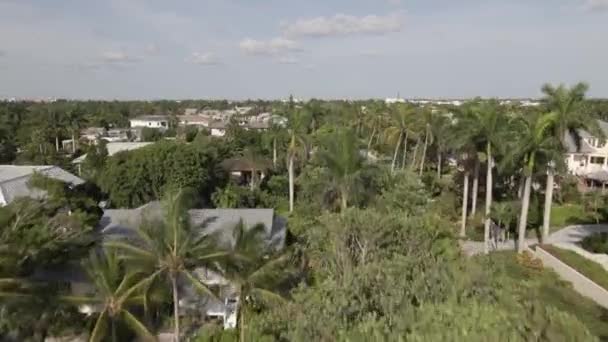 Aerial Rises Palm Trees Reveal Affluent Homes Naples Florida — Stock Video