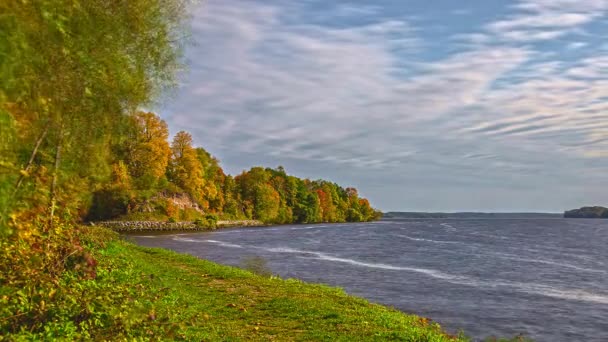 Time Lapse Shot Van Prachtige Gekleurde Bos Bomen Aan Oever — Stockvideo