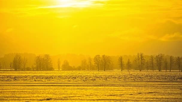 Вид Захід Сонця Часовому Поясі Над Сніговим Покриттям Сільськогосподарських Полів — стокове відео