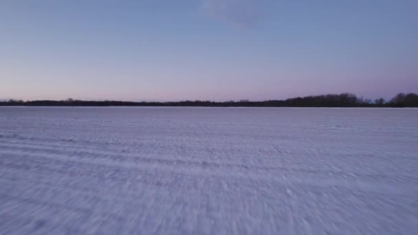 雪の冬の風景 空の雪原と木 Dolly Shot — ストック動画