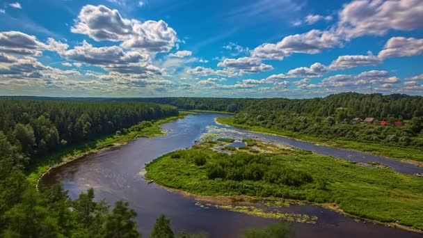 Wyobraźnia Daugavas Loki Park Przyrody Daugava Rzeki Łotwa — Wideo stockowe