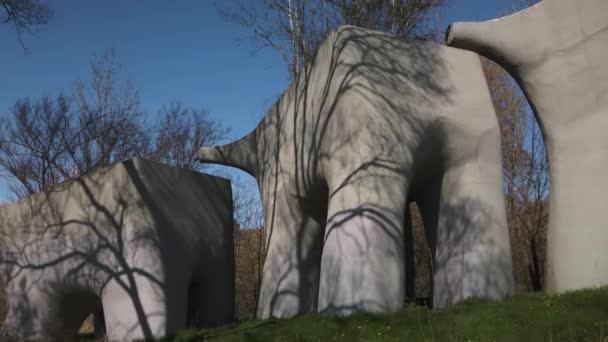 Wide Shot Elevated Wetlands Sculpture Toronto — Stok Video