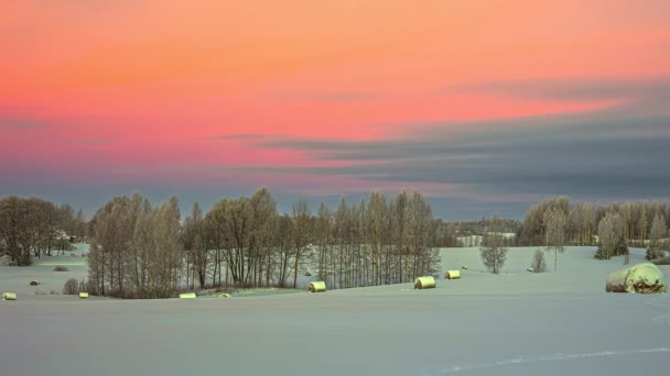 動いている雲と自然の背景に凍結した雪の土地の木と光の眺めの時間の経過 — ストック動画