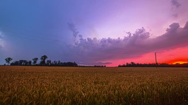 Time Lapse Slow Motion Shot Roxo Rosa Campo Nublado Nuvens — Vídeo de Stock