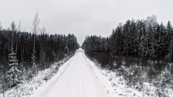 Дрони Летять Вкритій Снігом Дорозі Лісі Соснового Дерева Латвія — стокове відео