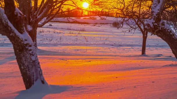 冬の風景の上に黄金の時間の夕日 タイムラプス — ストック動画