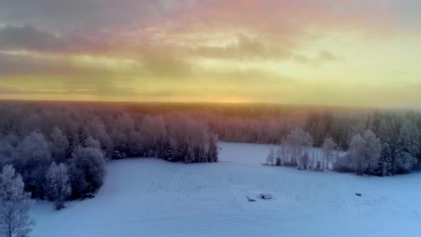 Atardecer Dorado Brumoso Sobre Paisaje Cubierto Nieve Invierno Helado Aéreo — Vídeo de stock