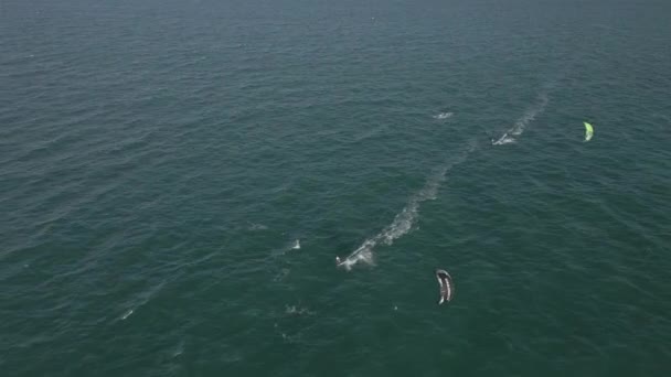 Ένας Kite Surfer Ακολουθεί Γρήγορα Ένα Άλλο Πράσινο Ανοιχτό Νερό — Αρχείο Βίντεο