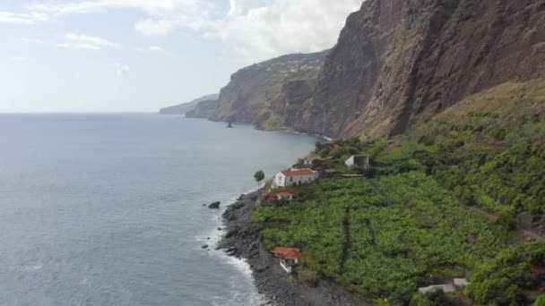 Portekiz Madeira Adası Ndaki Yeşil Organik Topraklarla Faja Dos Padres — Stok video