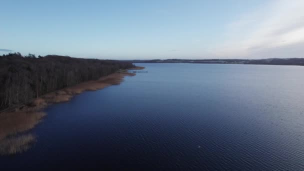 Vue Aérienne Côte Lac Forestier Avec Roseau Une Masse Dolly — Video