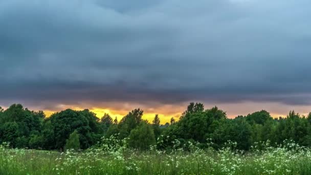 Landschaft Zeitraffer Von Gewitterwolken Über Einem Feld Bei Sonnenuntergang — Stockvideo