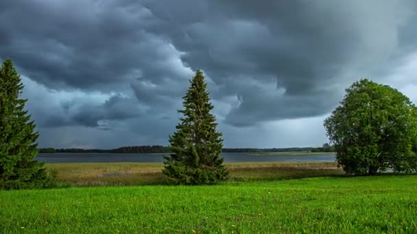 Storm Wolken Bewegen Meer Bomen Weide Voorgrond Time Lapse — Stockvideo
