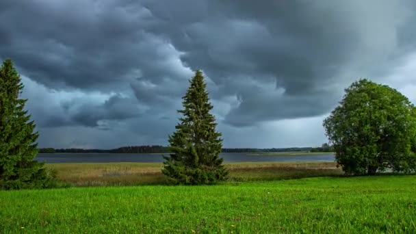 Des Nuages Orageux Déplacent Dessus Lac Des Arbres Pré Temps — Video