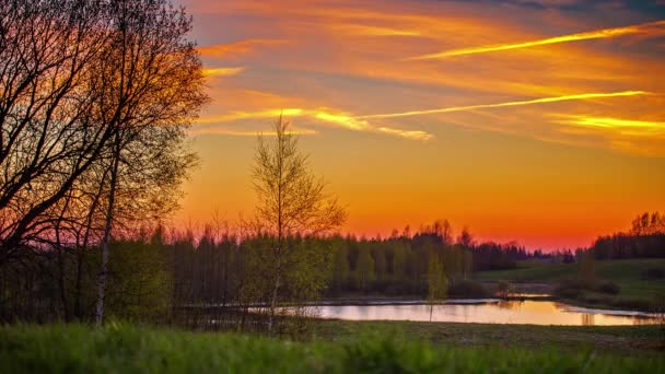Czas Lapse Piękny Krajobraz Parku Spokojnym Jeziorem Pomarańczowym Zachodem Słońca — Wideo stockowe