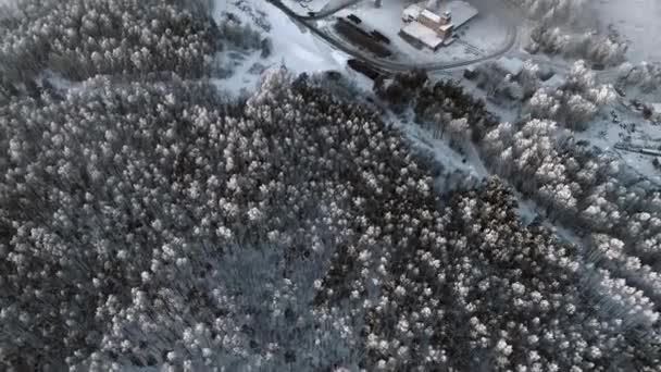 Повітряний Постріл Парової Фабрики Виявили Засніженим Сосновим Лісом — стокове відео