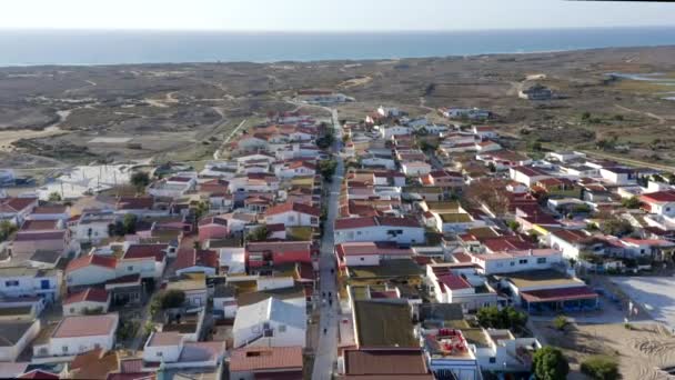 Κατοικίες Σπίτια Κοντά Στην Παραλία Στο Νησί Culatra Πορτογαλία Εναέρια — Αρχείο Βίντεο